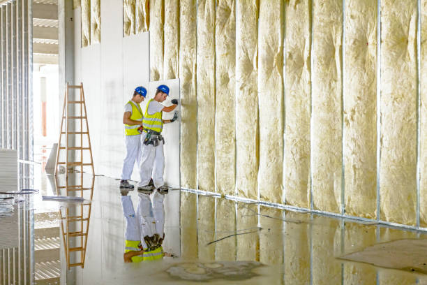 Best Insulation Maintenance and Repair in Langston, OK